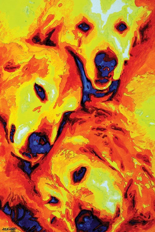 Golden Retriever by Zak Mohammed wall art