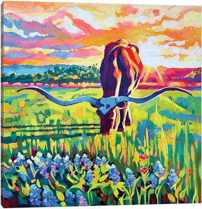 Longhorn And Bluebonnets Canvas Art Print - Sunrise & Sunset Art