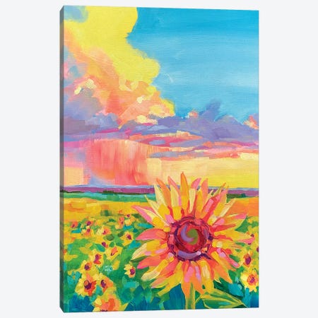Kansas Sunflowers Canvas Print #ZMM34} by Maria Morris Canvas Art