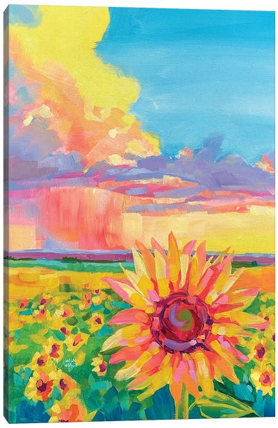 Kansas Sunflowers Canvas Art Print - Kansas Art