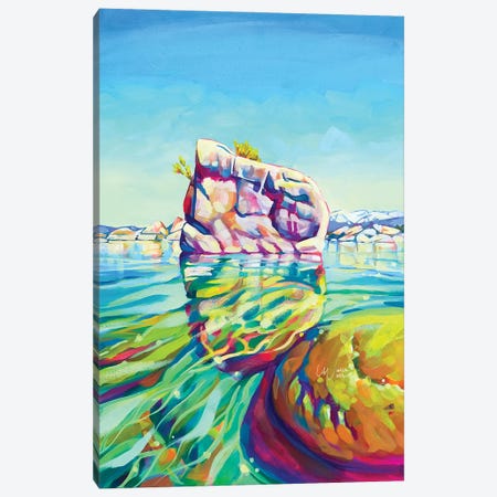 Bonsai Rock, Lake Tahoe Canvas Print #ZMM49} by Maria Morris Canvas Art
