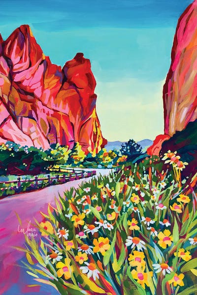 Wildflowers In Colorado