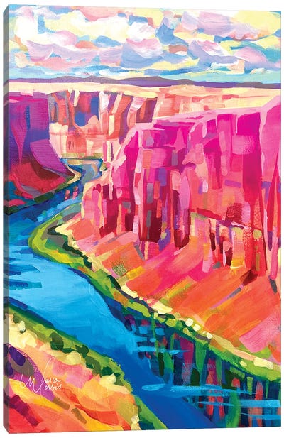 Grand Canyon, Colorado River Canvas Art Print - National Park Art