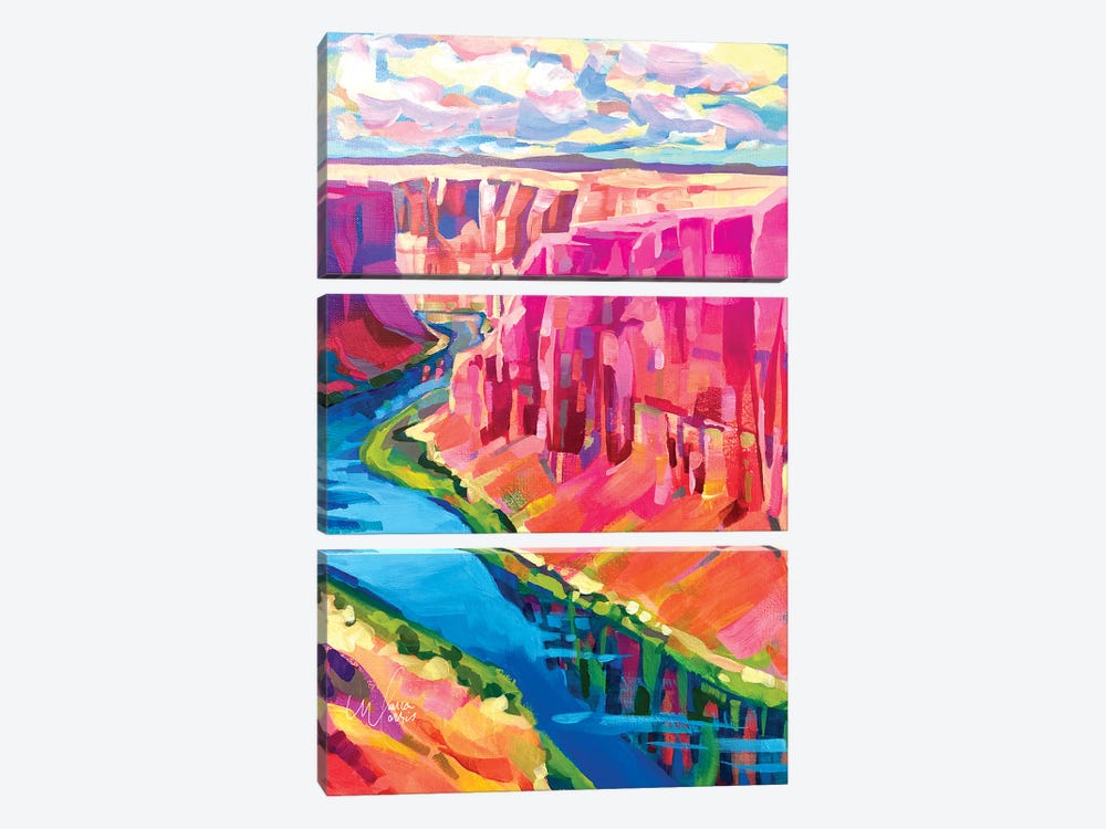 Grand Canyon, Colorado River by Maria Morris 3-piece Canvas Artwork