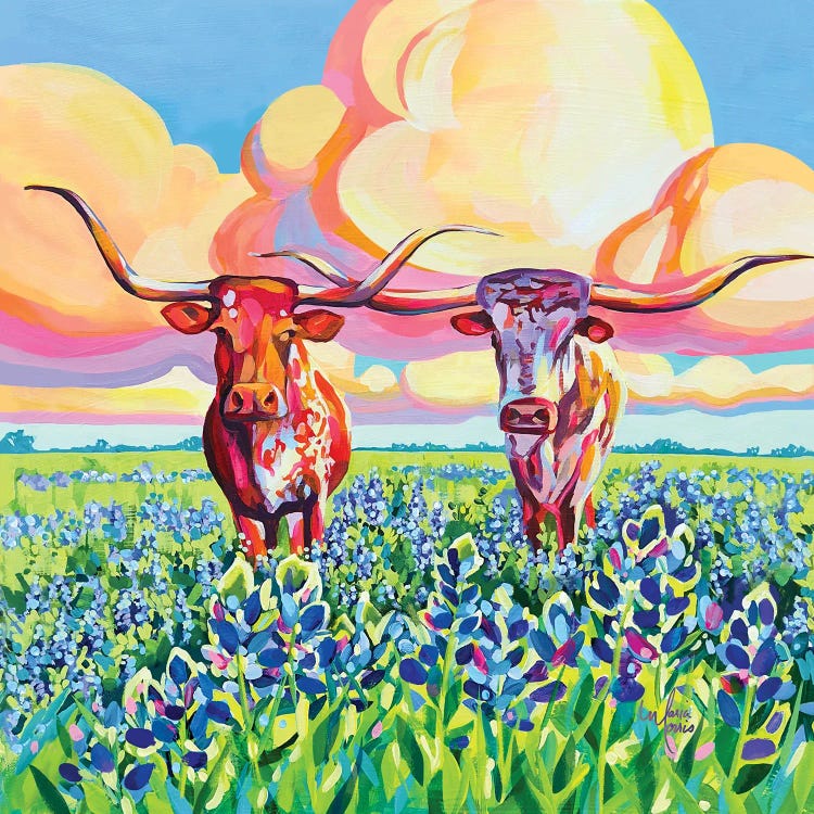 Two Texas Longhorns