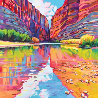Santa Elena Canyon, Big Bend by Maria Morris art print