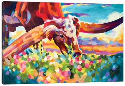 Longhorn Grazing Canvas Art Print - Maria Morris