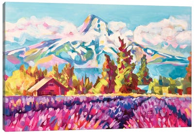 Lavender Fields, Mt Hood Canvas Art Print - Lavender Art