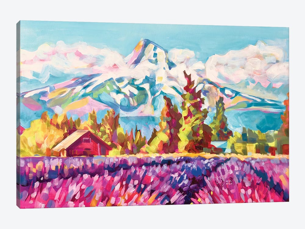 Lavender Fields, Mt Hood by Maria Morris 1-piece Canvas Wall Art