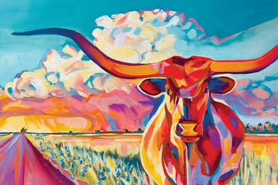 Longhorns