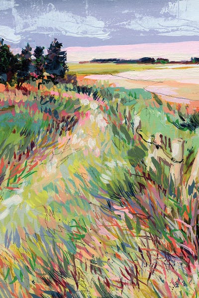 Wildflowers: Can You See It by Jennifer L Mohr