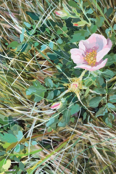 Jennifer L Mohr: Discovery by Jennifer L Mohr