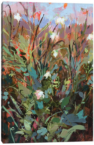 Flutter II Canvas Art Print - Jennifer L Mohr
