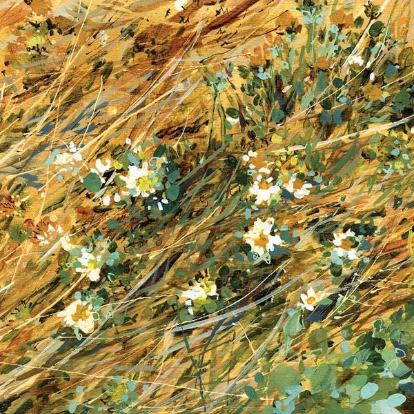 Jennifer L Mohr: I See It Now In This Moment by Jennifer L Mohr