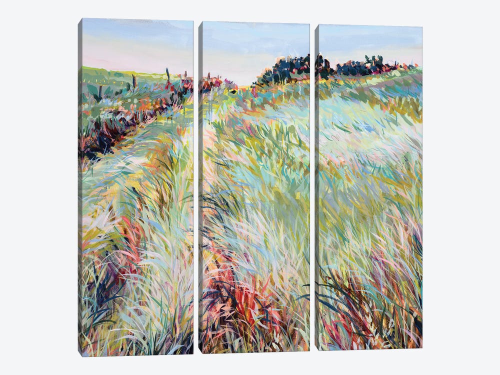 Just Here by Jennifer L Mohr 3-piece Canvas Wall Art