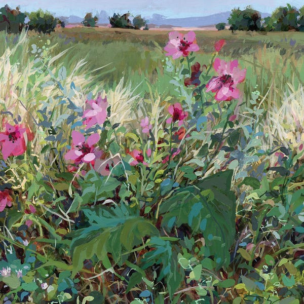 Tranquil Gardens: Promise Caught Stillness by Jennifer L Mohr