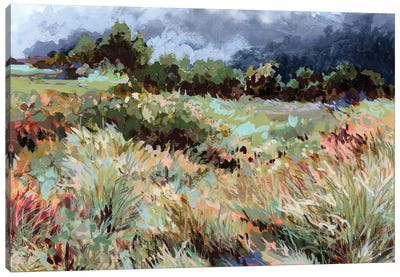 Verging Canvas Art Print - Wildflowers
