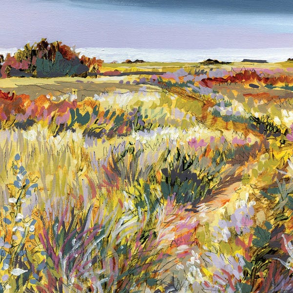 Wildflowers: Belonging November by Jennifer L Mohr