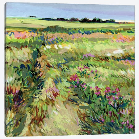 Belonging Peace Meadow Canvas Print #ZMR6} by Jennifer L Mohr Canvas Print