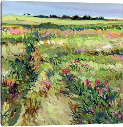 Belonging Peace Meadow Canvas Art Print - Garden & Floral Landscape Art