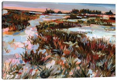 Belonging Solace Canvas Art Print - Wildflowers