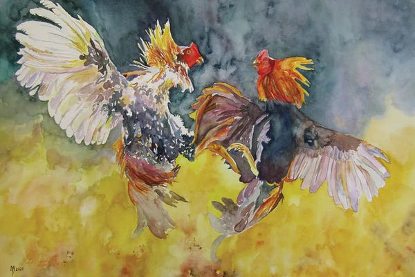 Chickens & Roosters: Game Of Roosters by Zoran Mihajlovic Muza