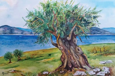 Green - Canvas Prints: Olive Tree by Zoran Mihajlovic Muza