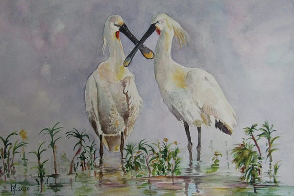 iCanvas Exclusives: Happy Together by Zoran Mihajlovic Muza