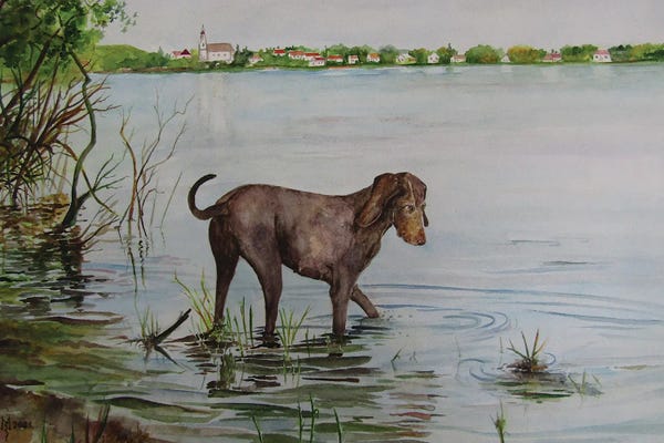 iCanvas Exclusives: Hunting Instinct by Zoran Mihajlovic Muza