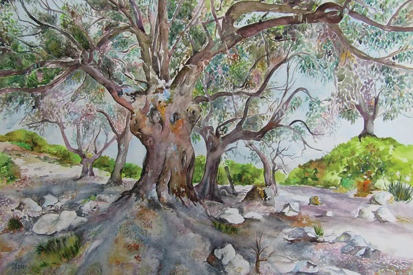 Grasses: Old Olives by Zoran Mihajlovic Muza