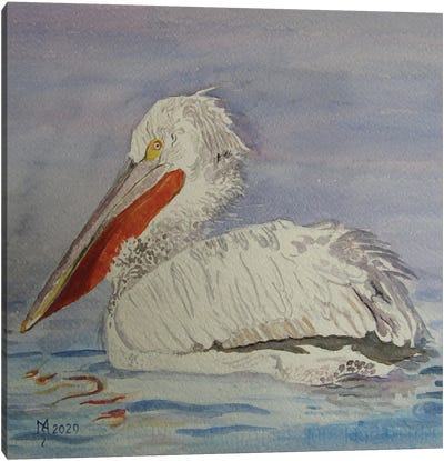 Pelican Canvas Art Print - Zoran Mihajlovic Muza