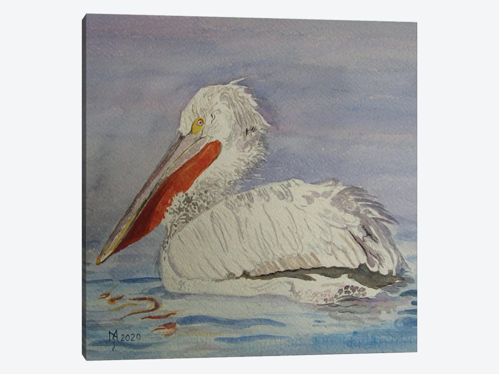 Pelican by Zoran Mihajlovic Muza 1-piece Canvas Art Print