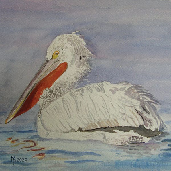 Zoran Mihajlovic Muza: Pelican by Zoran Mihajlovic Muza