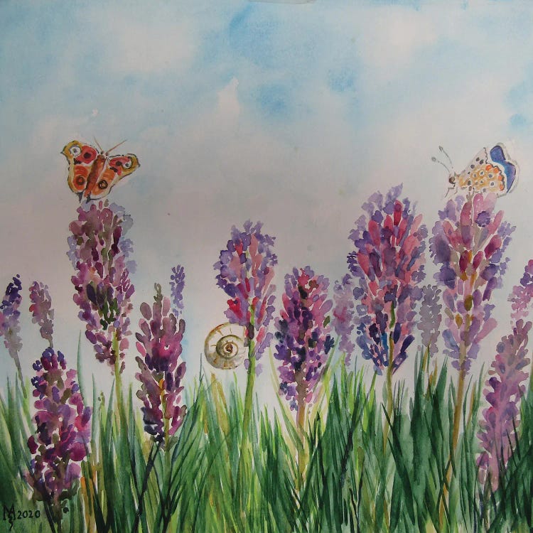 Pleasant Scent Of Lavender