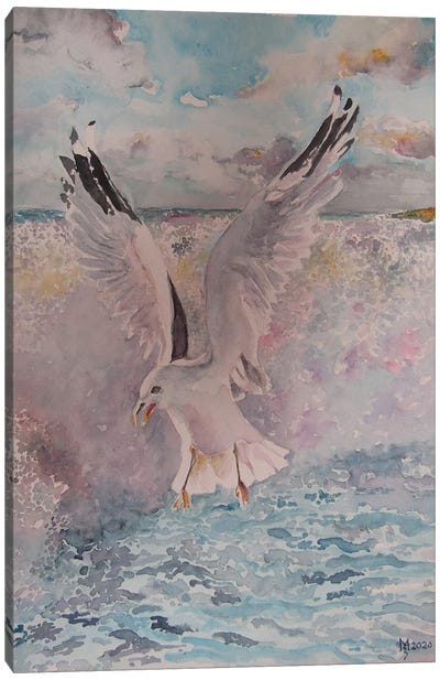Seagull Canvas Art Print - Zoran Mihajlovic Muza