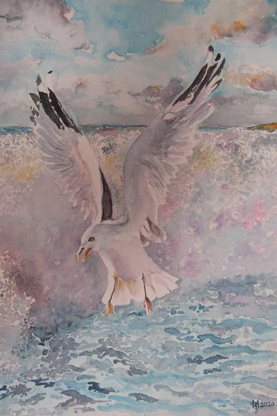 iCanvas Exclusives: Seagull by Zoran Mihajlovic Muza