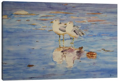 Seagulls Canvas Art Print - Purple Art