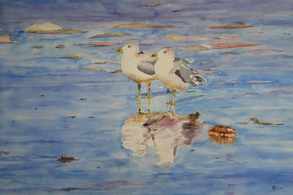 iCanvas Exclusives: Seagulls by Zoran Mihajlovic Muza