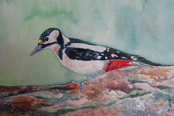 iCanvas Exclusives: Search For Food by Zoran Mihajlovic Muza