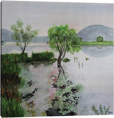 Silver Lake Canvas Art Print - Grass Art