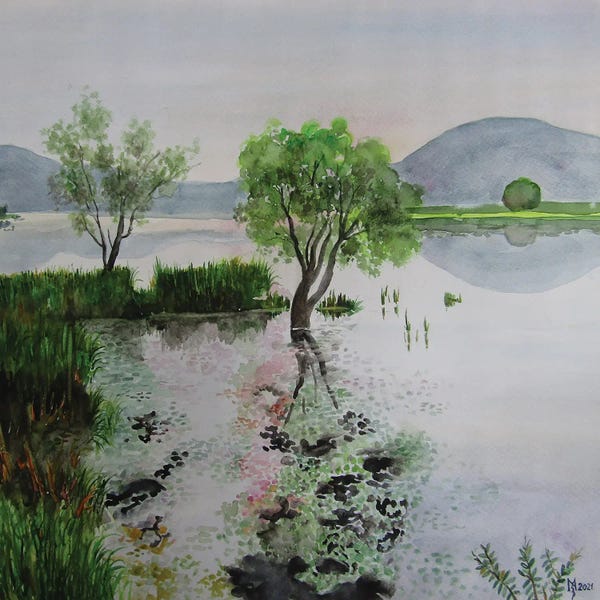 Grasses: Silver Lake by Zoran Mihajlovic Muza