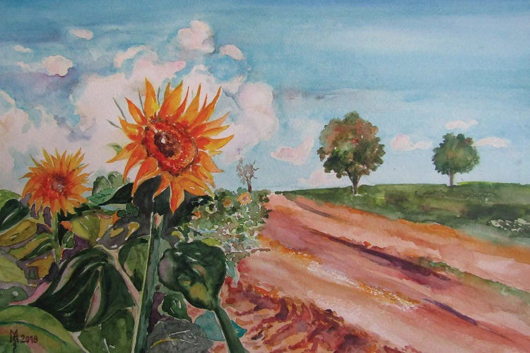 Sunflowers