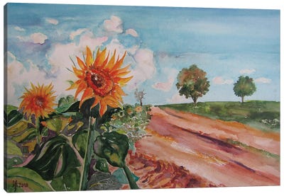 Sunflowers Canvas Art Print - Zoran Mihajlovic Muza