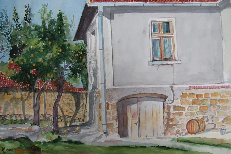 Basement Of Vine by Zoran Mihajlovic Muza wall art