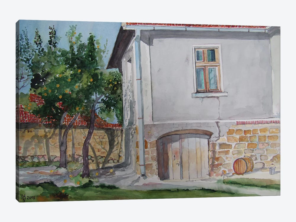 Basement Of Vine by Zoran Mihajlovic Muza 1-piece Canvas Print