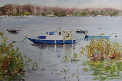 Winter Dormancy by Zoran Mihajlovic Muza art print