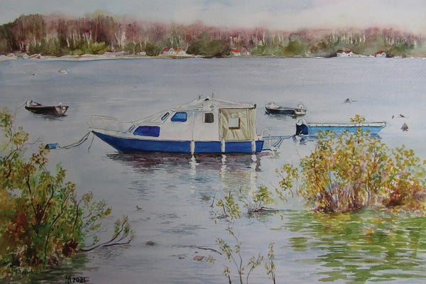 Lakehouse Décor: Winter Dormancy by Zoran Mihajlovic Muza