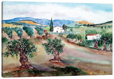 Olives Canvas Art Print - Olive Tree Art