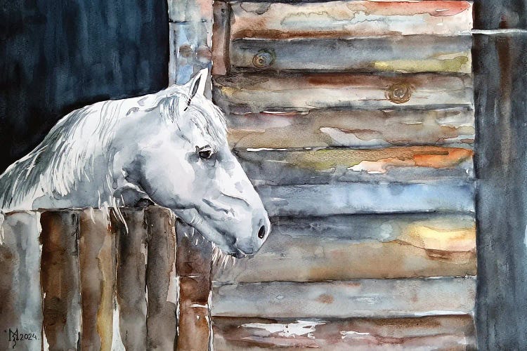 White Horse by Zoran Mihajlovic Muza wall art