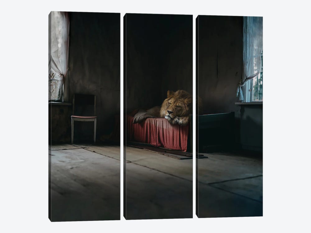 Lost Animals - Series X by Zoltan Toth 3-piece Canvas Art